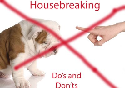 Puppy Housebreaking Tips